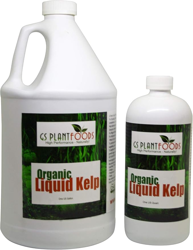 Liquid Kelp Organic Seaweed Extract Fertilizer OMRI Listed 1 Gallon Concentrate