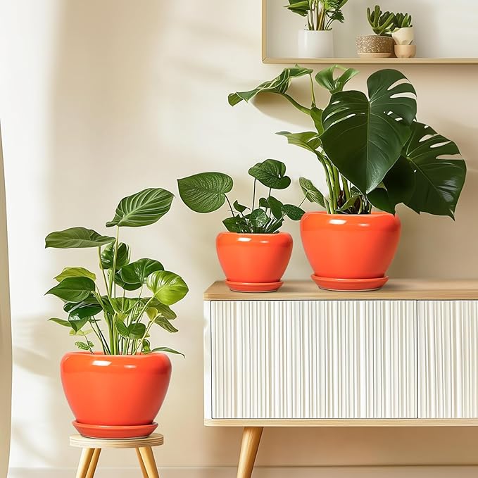 Indoor Plant Pot 8 Inch - Ceramic Plant Pot with Drainage Hole and Saucer, Glaze Decorative Modern Round Planter for Outdoor Plants, Housewarming Gifts, Office Home Garden Decor, Orange