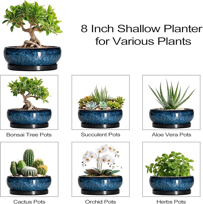 EPFamily Bonsai Pots 8 Inch - Ceramic Succulent Planter for Indoor Outdoor, Round Bonsai Planter with Drainage Hole and Saucer, Shallow Ceramic Planters Bowl, Patio Decor, Housewarming Gift, Blue