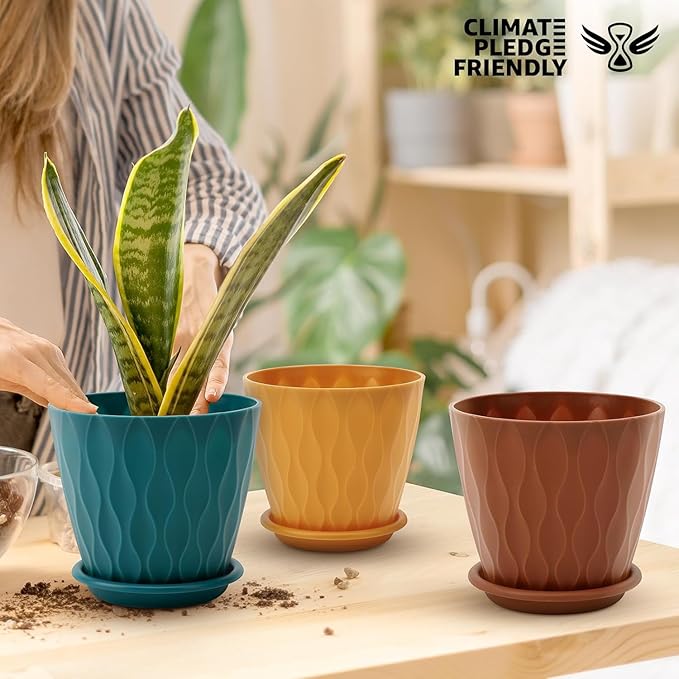 YNNICO 6 inch Plant Pots, 5 Pack Flower Pots Outdoor Indoor, Planters with Drainage Holes and Tray Saucers(Multicolor)