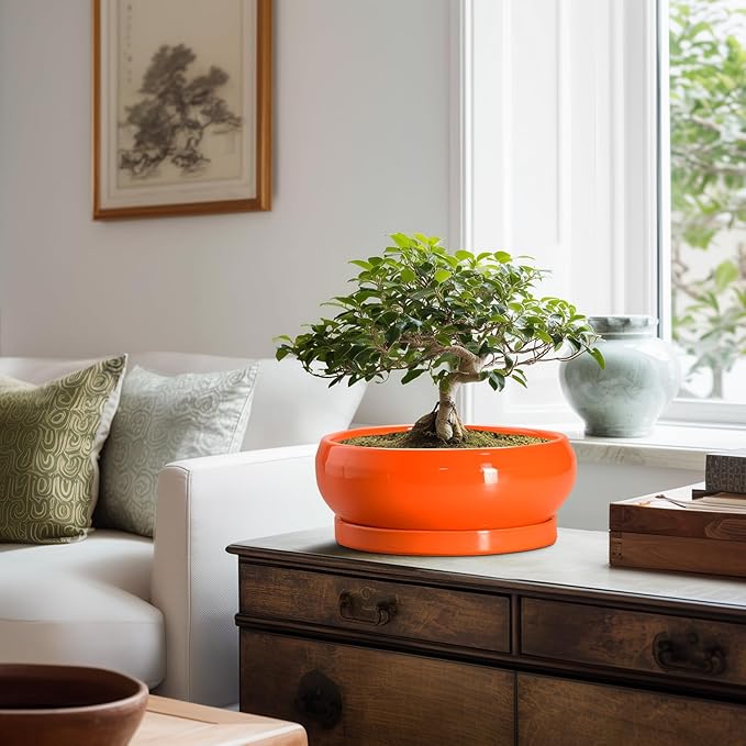 EPFamily Bonsai Tree Pots - 10 Inch Ceramic Pots for Succulent Indoor Outdoor, Bonsai Pot with Drainage Hole and Tray, Round Planter Bowl, Shallow Planter, Home Decor, Housewarming Gift, Orange