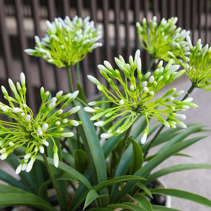 HIFORESTAR Faux Outdoor Flowers Realistic Artificial Plants 8 Bundles Plastic Flower Outside 18.9 in Fake Greenery Stems Green Flower for Pot Planter Decor Outside