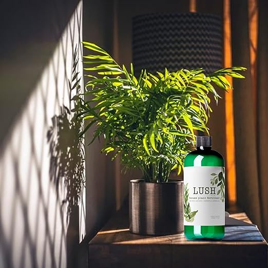 Lush Houseplant Fertilizer – Concentrated Liquid Plant Food (Makes 50+ Gallons) – 3-1-2 NPK for Indoor Plants, Monstera, Pothos & More - 500ml Concentrate