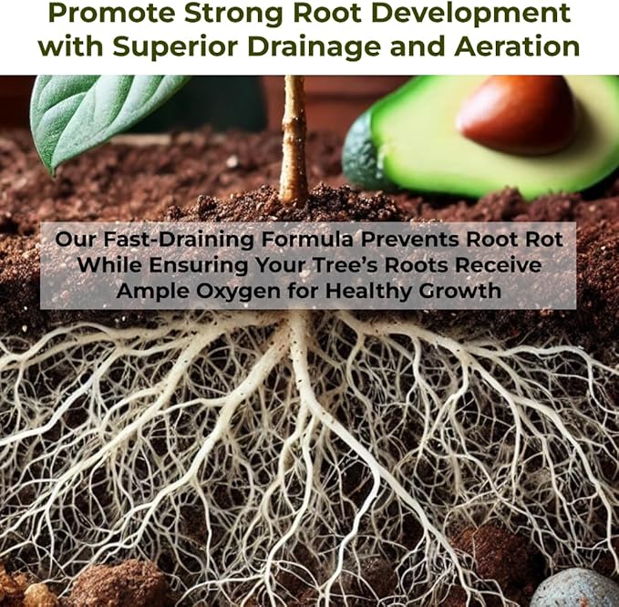 GARDENWISE Avocado Tree Soil – Premium Organic Potting Mix for Avocado Trees | Tailored pH & Organic Nutrients | Fast-Draining & Moisture-Retaining | Indoor & Outdoor Use (3 QUARTS)