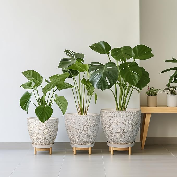 MPotTo 6.9 Inch Plant Pot with Drainage Hole and Saucer Ceramic Planter for Indoor Plant Flower Pot for Orchid Succulents Plants White