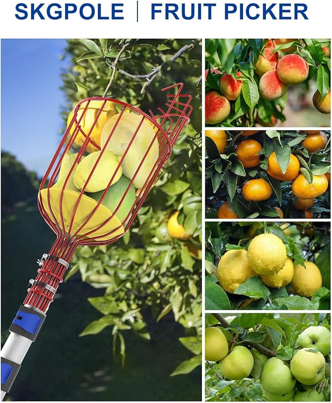 26FT Reach Fruit Picker, 5-20 Foot Sturdy Aluminum Telescoping Fruit Picker Extension Pole with Metal Twist-on Basket, Suit for Apple Pear Lemon Mango Guava Orange Avocados Tree Fruit Picking