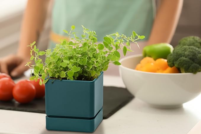 D'vine Dev 4 Inch Herb Planter Pot, Plastic Planter with Drainage Holes and Saucer, Modern Decorative Gardening Pot for Indoor Plants, Flowers, Herbs, Succulents, Green, Set of 4, 76-Y-C-4