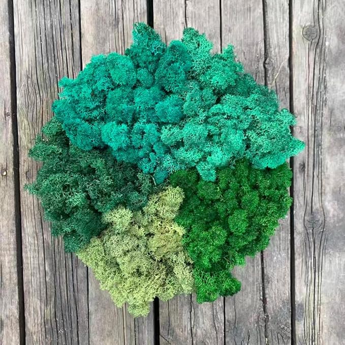 prefleur Preserved Reindeer Moss Natural Green DIY Kit Gardenning Art Wall Decor Florist Decor Easter Table Decor Wedding