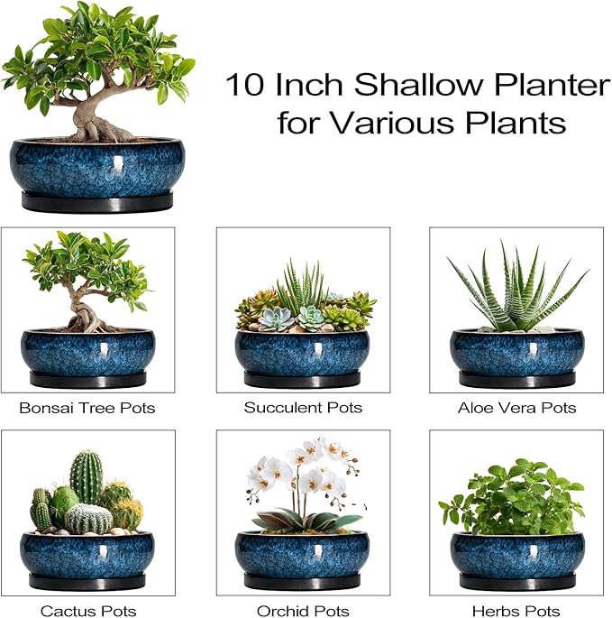 EPFamily Bonsai Tree Pots 10 Inch - Ceramic Succulent Pot with Drainage Hole and Saucer, Bonsai Pots for Indoor Outdoor, Round Succulent Planter, Shallow Planter, Desk Decor, Plant Lover Gifts, Blue