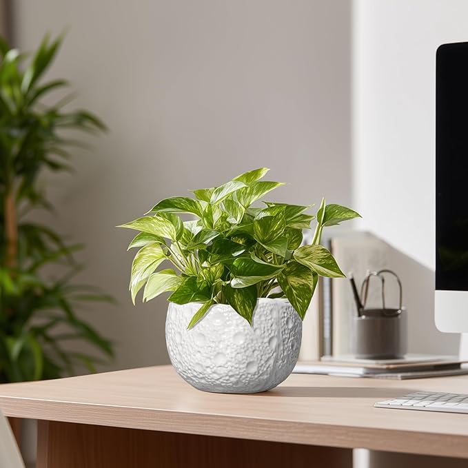 Thirtypot Ceramic Pots for Plants - 6 Inch Plant Pot for Indoor Outdoor, Decorative Orchid Pots with Drainage Hole, Unique Round Modern Planters, Home Decor, Gifts for Plant Lovers, White
