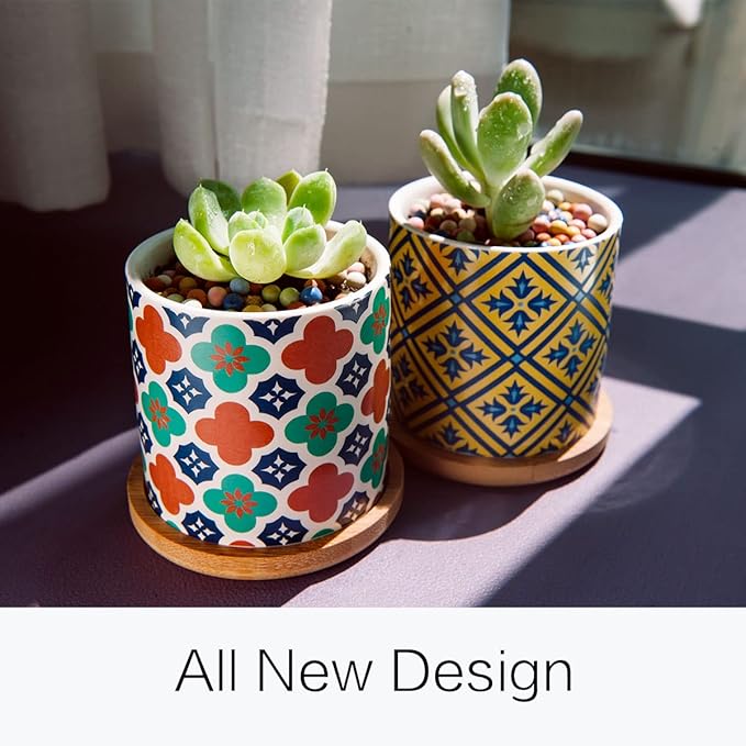 Ascrafter 6 Pack Succulent Pots with Drainage Hole, 3 inch Ceramic Succulent Planter with Bamboo Tray, Bright Color Succulent Plant Pots for Cacti Succulent Soil Potting Mix Indoor/Outdoor