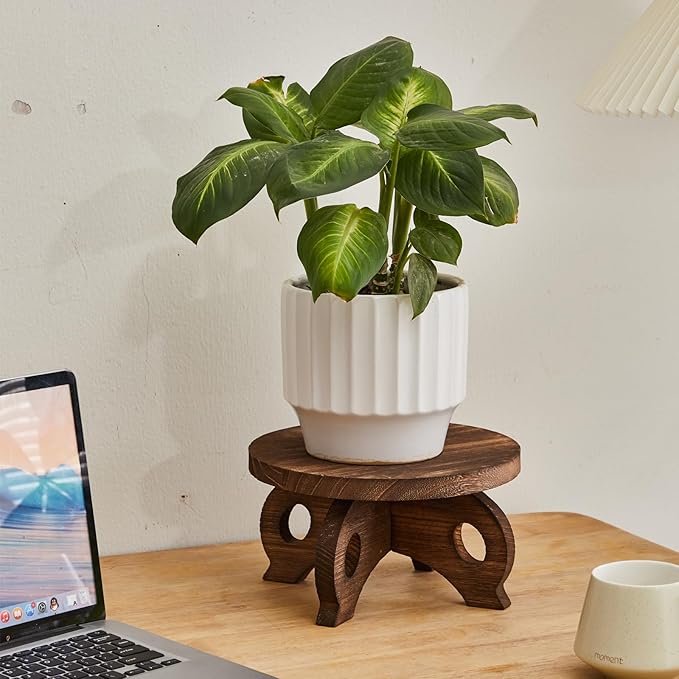 Plant Stand Indoor Round Wood Risers Display Stands Decorative Table for Flowers Stand Indoor Rustic Balcony Decor Pedestal Board Plant Holder Rise