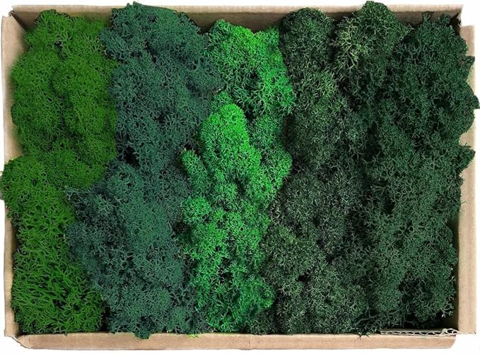 prefleur Preserved Reindeer Moss Natural Green DIY Kit Gardenning Art Wall Decor Florist Decor Easter Table Decor Wedding