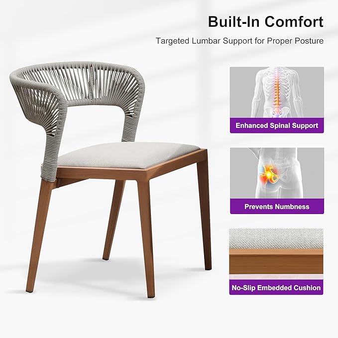 PURPLE LEAF 2 Pieces Outdoor Dining Chair All-Weather Rattan Wicker Aluminum Frame Patio Dining Chair for Lawn Garden Backyard Deck with Cushion, Deep Teak