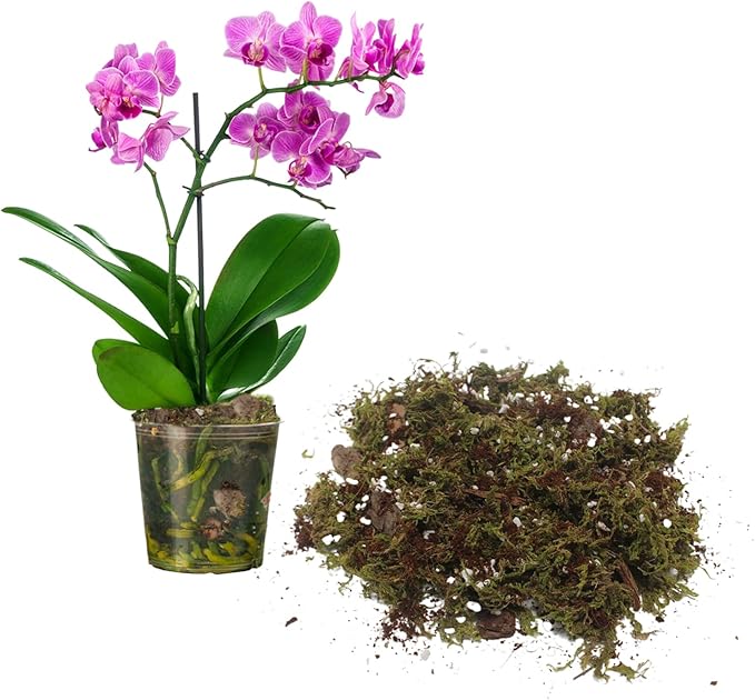 JFWOD 6QT Orchid Potting Mix with Moss Pine Bark Mulch Perlite & Coco Peat Natural Ingredients, Orchid Repotting Soil Medium Great for Indoor Plant Root Climbing & Expanding