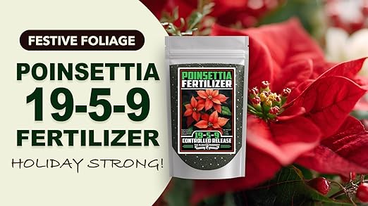 Fertilizer Commercial Grade | Poinsettia 19-5-9 | 1 Pound | Controlled Release Granular | 3–4 Month Feeding | Magnesium Sulfur Iron Manganese Zinc | Topdress Water in | Christmas Holiday Display