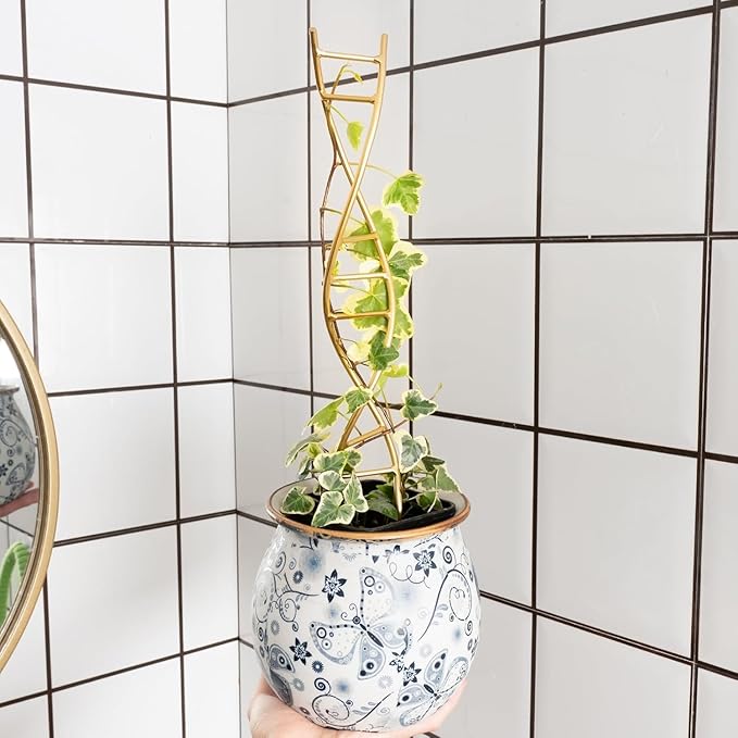 Plant Stakes for Indoor Plants,3 Pcs DNA Helix Metal Plant Trellis,Easy Installation and Durable Climbing Plant Holder,Potted Plant Holder Stakes for Garden,Yard,Balcony,Indoor & Outdoor Use