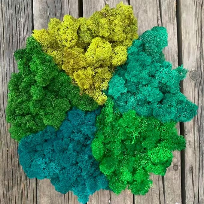 prefleur Preserved Reindeer Moss Natural Green DIY Kit Gardenning Art Wall Decor Florist Decor Easter Table Decor Wedding