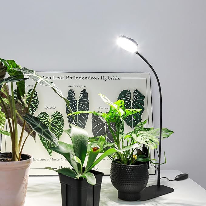 SGLEDs Desktop Plant Grow Light,12w Growing Lamps High Ppfd,Full Spectrum Desk Growth Light with Automatic Timer,4 Dimmable Levels(Black