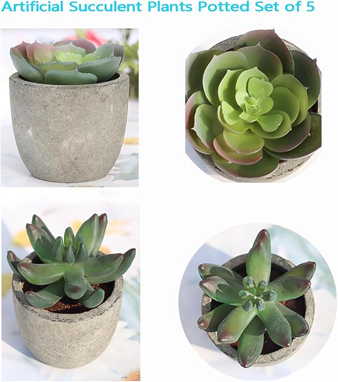 wiwauouo Set of 5 Artificial Succulent Plants in Pots - Lifelike Fake Succulents for Desk Decor, Low-Maintenance Home & Office Decor Gift