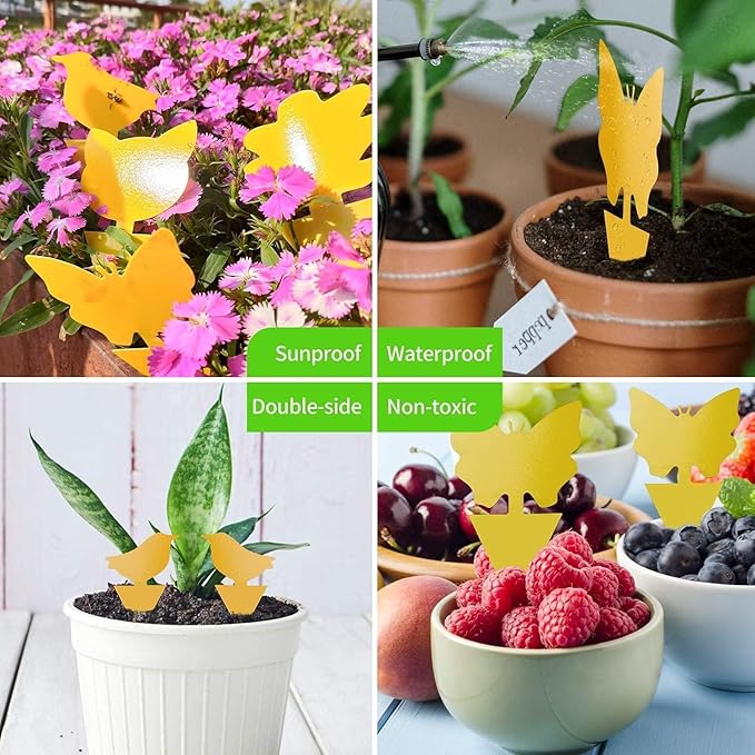 LFSYS 64 Pcs Sticky Trapz for gnat, Yellow Stick Traps for Plants, Fungus gnat Traps Double Side with Shovel, Indoor Safe for Gnat, Fruit Fly, White Fly, Aphid, Leaf Miner