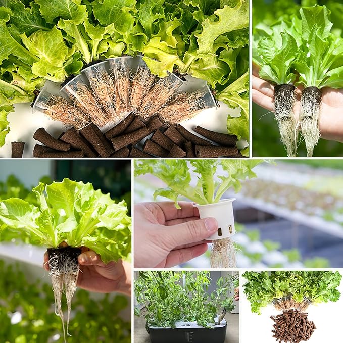 50 Pack Hydroponic Grow Sponges Seed Pods Replacement, Growing System Plant for Seed Plugs Garden Cube Sponges Replacement,Compatible with Aerogarden & Most Hydroponic System,1pc Tweezer