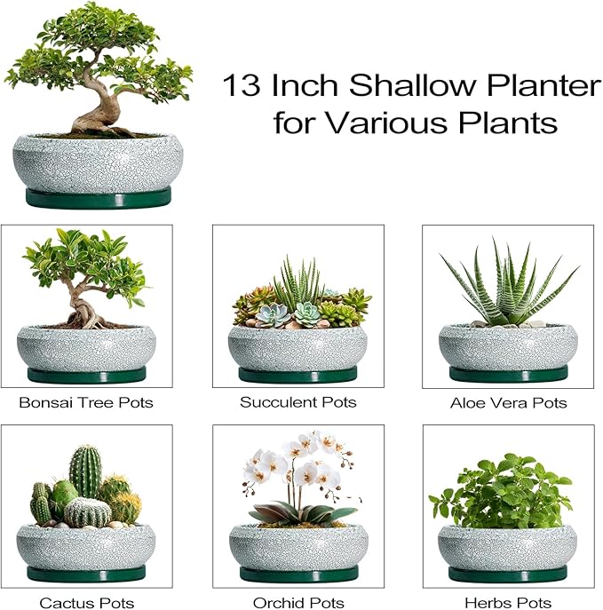 EPFamily Bonsai Pots 13 Inch - Shallow Ceramic Planter with Drainage Hole and Saucer, Round Succulent Pots for Indoor Outdoor, Large Succulent Planter, Apartment Decor, Gardening Gifts, Green