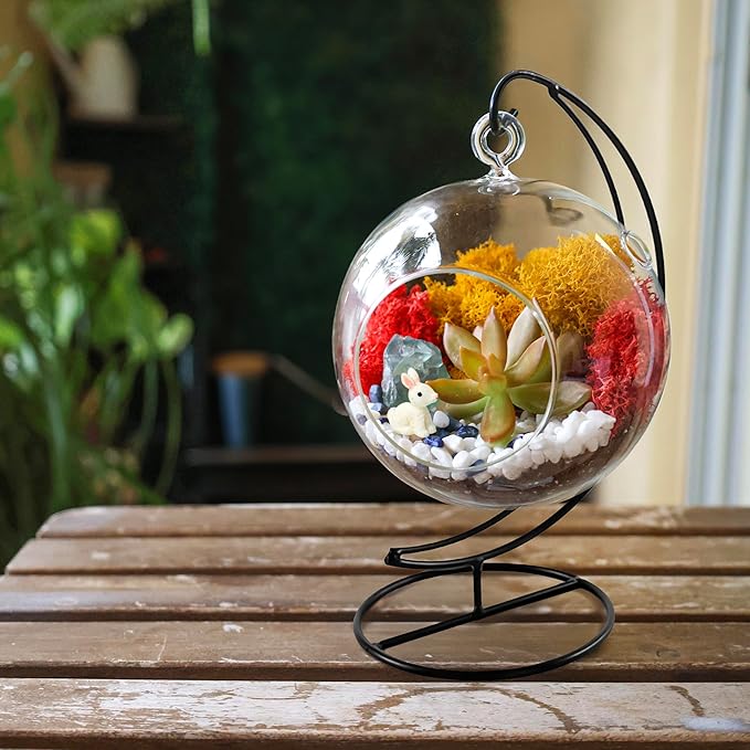Creations by Nathalie - 5" Glass Globe Succulent Terrarium Kit, Hanging DIY Starter Kit for Kids and Adult, Metal Stand, Reindeer Moss, Crystal & Rocks, Tools, Figurine (Live Plant Included)