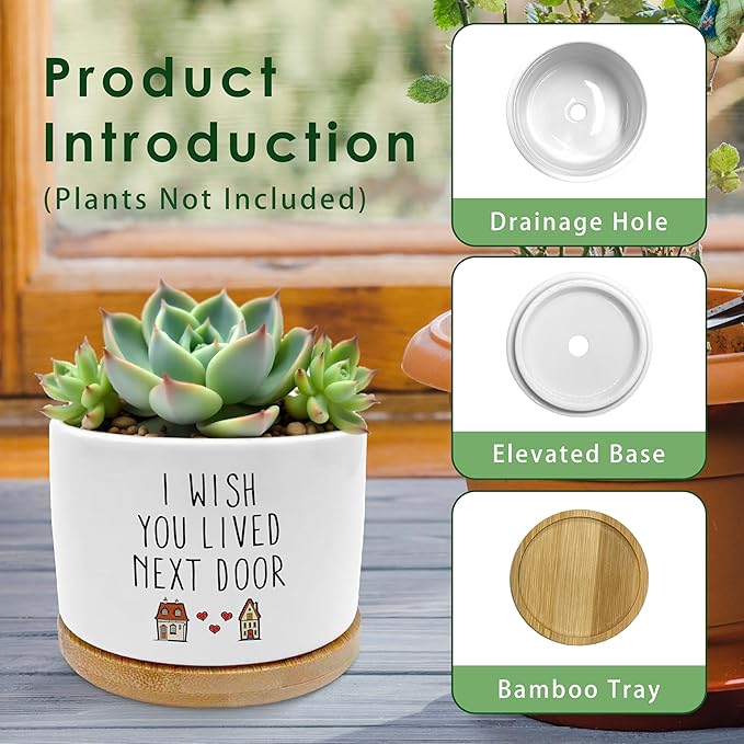 ROXMART Friendship Gifts for Women Plant Pots, Birthday Gifts for Best Friend Succulent Planters, I Wish You Lived Next Door Ceramic Plant Flower Pots for Home Office Desk Table Shelf(No Plants)