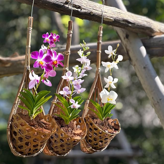 Handmade 100% Thai Bamboo Hanging Orchid Basket β 4 Inch Set of 3