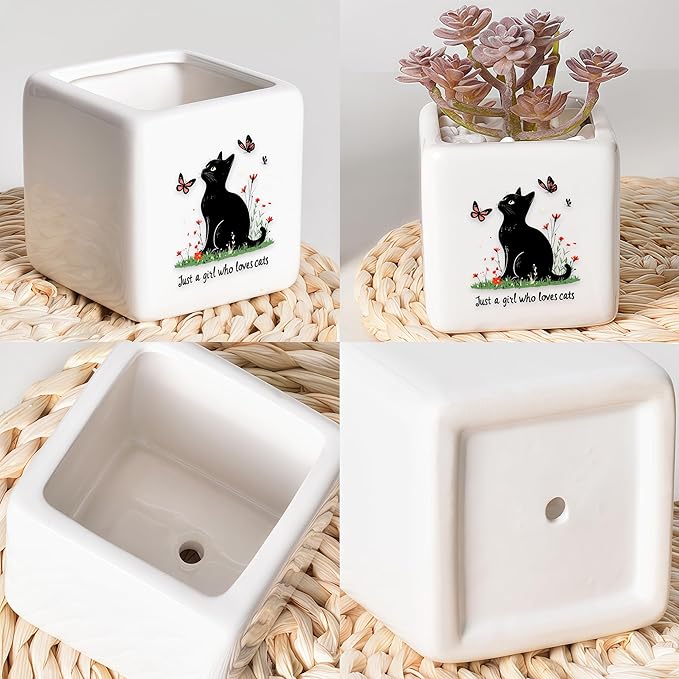 BJDAMAI Black Cat Succulent Planter Flower Plant Pot Small, Gifts for Women Teens Girls Kids, Cat Lovers Themed Stuff Accessories Things Decor Merch, Home Office Table Desk Decoration!