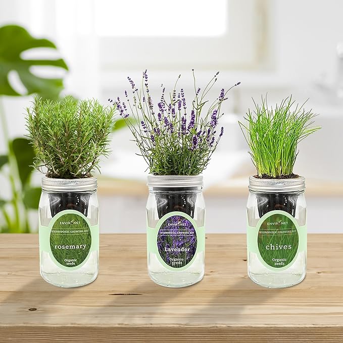 Environet Hydroponic Herb Growing Kit Set, Self-Watering Mason Jar Herb Garden Starter Kit Indoor, Grow Your Own Herbs from Seeds (Lavender, Rosemary & Chives)
