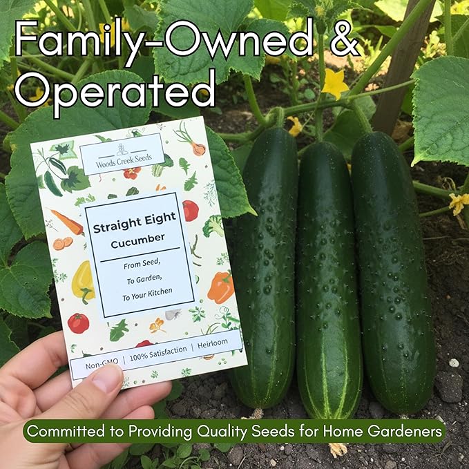 Straight Eight Cucumber Seeds for Planting - Heirloom, Non-GMO Slicing Cucumber Seeds for Outdoor Gardens, Crisp Straight Cucumbers for Fresh Eating | Woods Creek Seeds