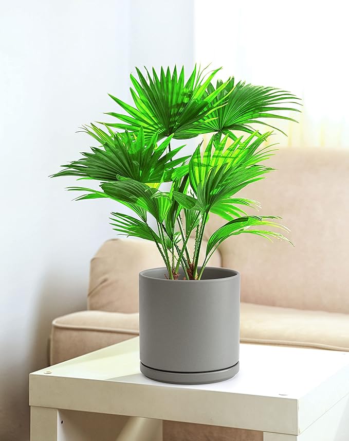 D'vine Dev Set of 2 Plants Pots, 8 Inch Ceramic Planter Pot for Plants with Drainage Hole and Saucer, Speckled Grey, 94-V-D-3