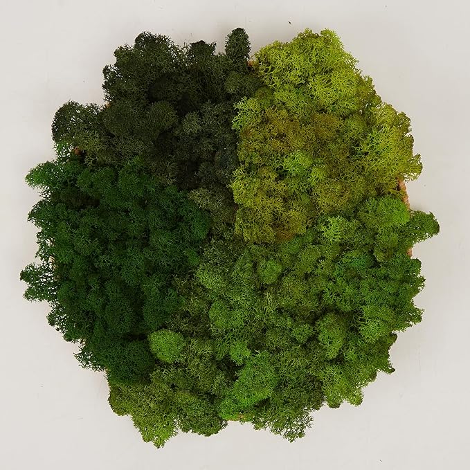 prefleur Preserved Reindeer Moss Natural Green DIY Kit Gardenning Art Wall Decor Florist Decor Easter Table Decor Wedding