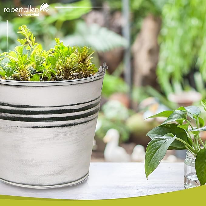 Headwind Vintage Collection - 6 Inch Rustic White Banded Planter with Handles โ Galvanized Bucket Planter - Decorative Small Planters for Indoor Plants & Outdoor Use by Robert Allen