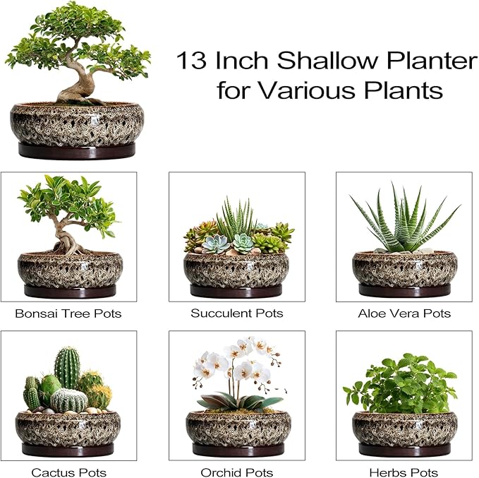 EPFamily Bonsai Planter 13 Inch - Large Ceramic Succulent Planters, Shallow Plant Pot Indoor with Drainage Hole and Tray, Bonsai Pot, Round Bowl Planter Outdoor, House Decor, Housewarming Gift, White