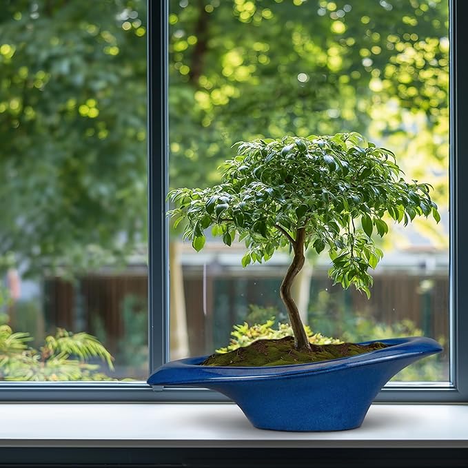 Teagas Bonsai Tree Pot 18 Inch - Ceramic Succulent Pots Large Bonsai Planter for Indoor Outdoor Plants Decorative Plant Pot with Drainage Hole Flower Pot for Home Garden Room Decor Blue