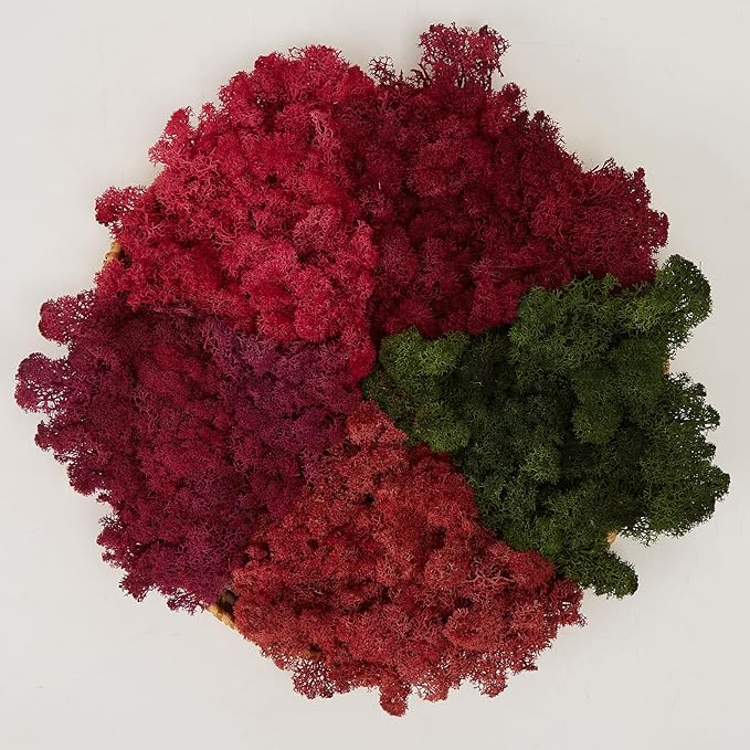 prefleur Preserved Reindeer Moss Natural Green DIY Kit Gardenning Art Wall Decor Florist Decor Easter Table Decor Wedding
