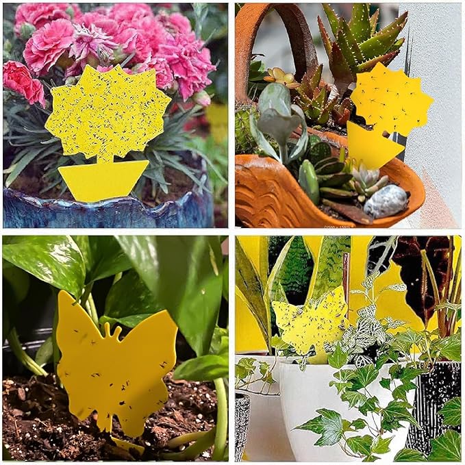 58 Pack Flying Insect Traps for Plants – Yellow Sticky Traps for Fungus Gnats, Flies & Flying Bugs, Indoor Outdoor Flying Bug Catcher for Pots, Garden & Kitchen, Non-Toxic, Odorless, Kid & Pet Safe