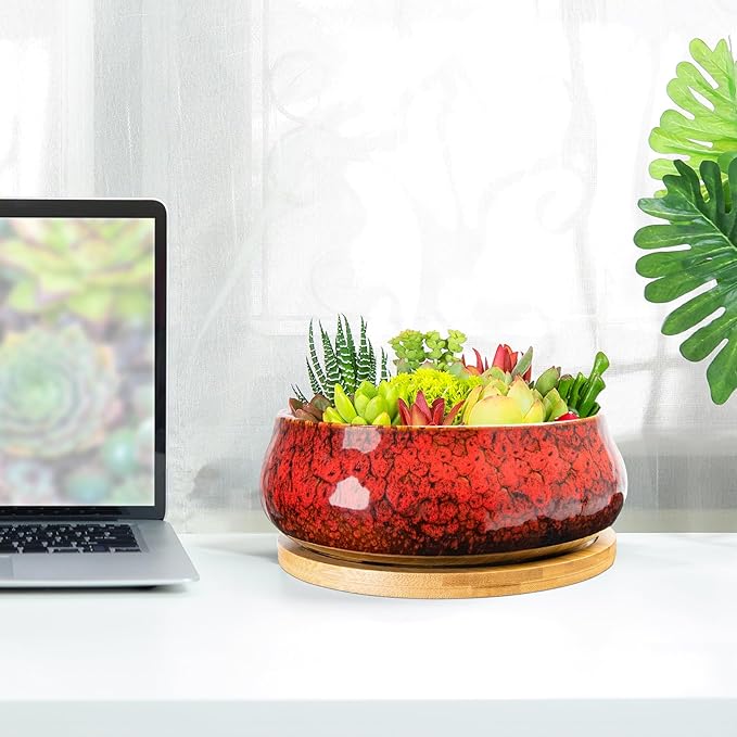 ARTKETTY Succulent Pots - 8 Inch Plant Pot, Large Bonsai Pots with Drainage Tray, Ceramic Planters for Indoor Outdoor Plants, Round Shallow Cactus Flower Plant Container Bowl Decorative Home Garden