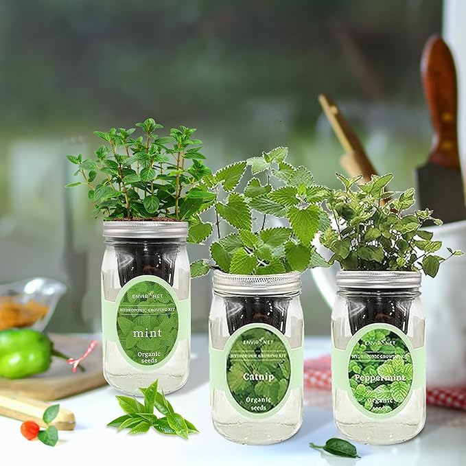 Environet Hydroponic Herb Growing Kit Set, Self-Watering Mason Jar Herb Garden Starter Kit Indoor, New Christmas Gift for Mom (Mint, Peppermint & Catnip)