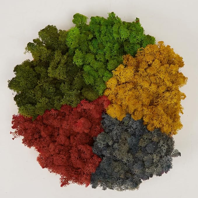 prefleur Preserved Reindeer Moss Natural Green DIY Kit Gardenning Art Wall Decor Florist Decor Easter Table Decor Wedding