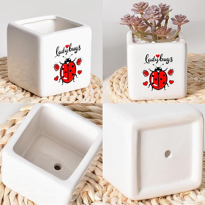 BJDAMAI Ladybugs Succulent Planter Flower Plant Pot Small, Gifts for Women Teens Girls Kids, Ladybugs Lovers Themed Stuff Accessories Things Decor Merch, Home Office Table Desk Decoration!