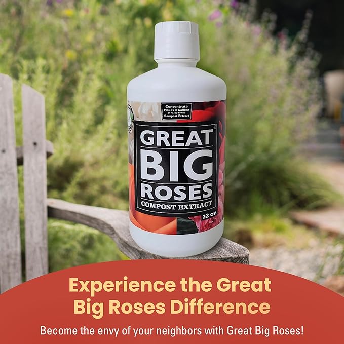 Great Big Roses – Soil and Rose Fertilizer Booster to Grow The Best Roses and Flowers; Rose Food Compost Extract for Rose Bush, 32 Ounce Concentrate (Makes 8 Gallons)