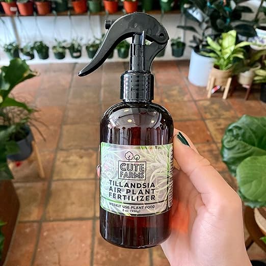 Cute Farms Tillandsia Air Plant Fertilizer | Gentle Weekly Use Formula Plant Food | Formulated Nutrients for Air Plants (Two - 8 oz. Spray Bottle)