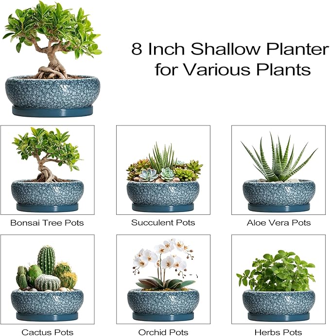 EPFamily Ceramic Bonsai Pots - 8 Inch Succulent Planters Indoor Outdoor, Bonsai Planters with Drainage Hole and Saucer, Shallow Planter, Round Planter Bowl, Home Decor, Gifts for Plant Lovers, Blue