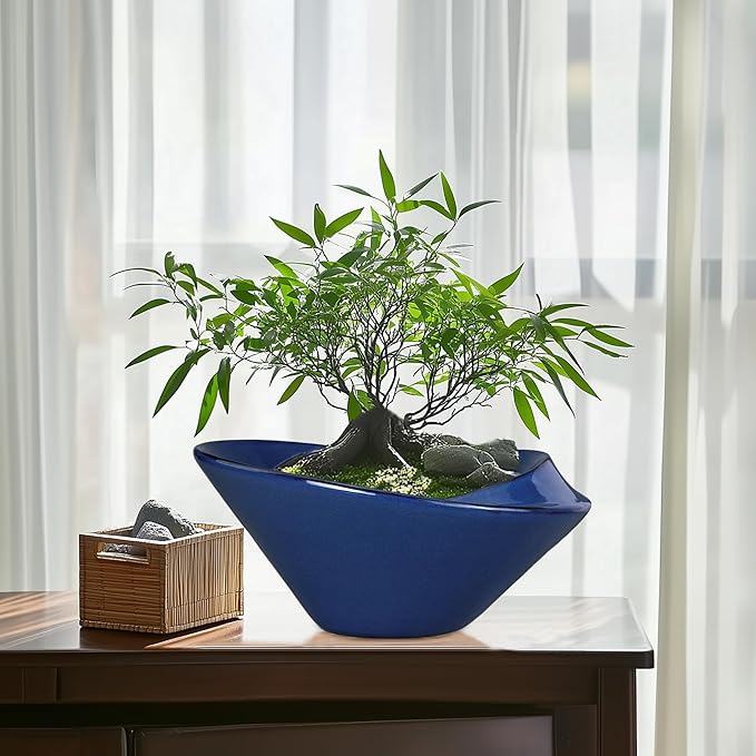 Teagas Bonsai Tree Pot 13 Inch - Ceramic Succulent Pots Large Bonsai Planter for Indoor Outdoor Plants Decorative Plant Pot with Drainage Hole Flower Pot for House Garden Room Home Decor Blue