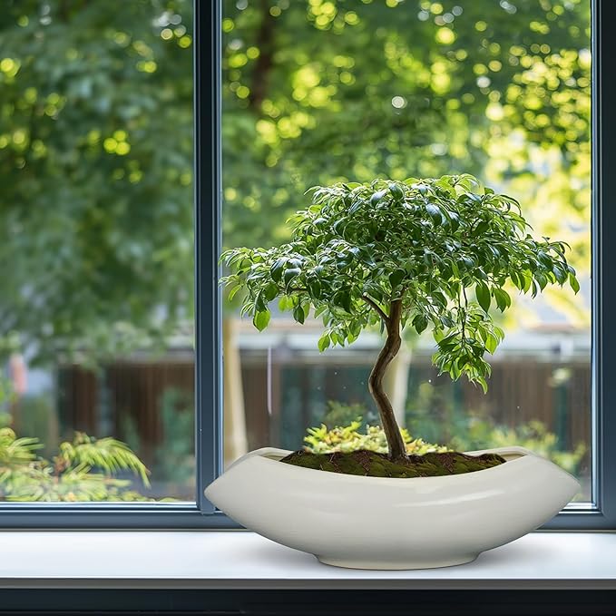 Teagas Bonsai Pots 18 Inch - Ceramic Succulent Pots with Drainage Hole Decorative Plant Pot Indoor Large Outdoor Planter Modern Flower Pot for Home Garden Room Decor Gray