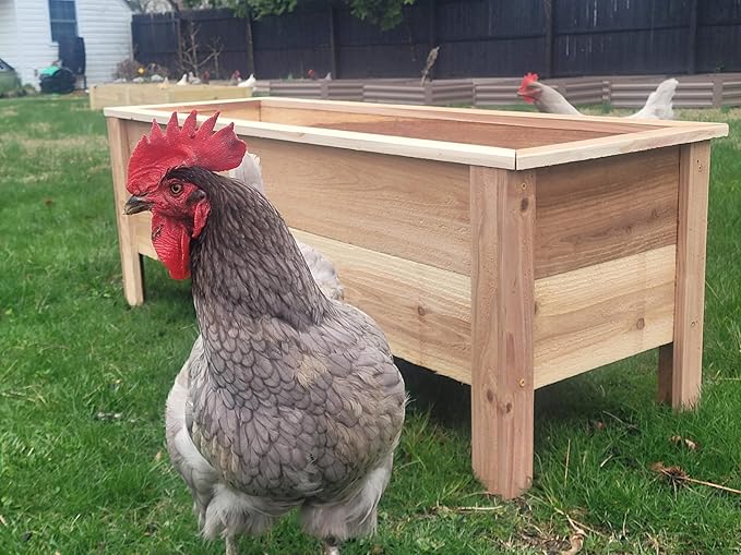 Cedar Raised Garden Bed Planter Box with Legs – Heavy Duty Outdoor Wooden Planter for Vegetables & Flowers, No Bending Elevated Design, Custom Size, Handmade in USA (18in x 15.5in x 16in)